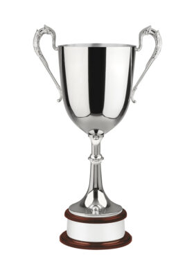 NH 25.5in Swatkins Nickel Plated Award
