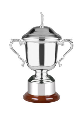 NH 8.5in Swatkins Colonial Award