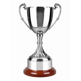 NH 15.5in Endurance Award