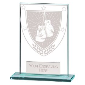 Millennium Boxing Jade Glass Award 80mm
