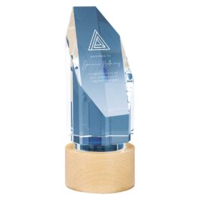 Solo Glass Award Clear & Beechwood 175mm