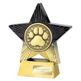 Superstar Dog Agility Award Black & Gold 140mm