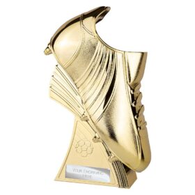Power Boot Football Heavyweight Award Gold 250mm