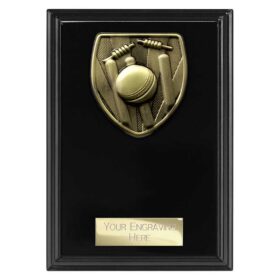 Cobra Plaque Cricket Award Epic Black 150mm