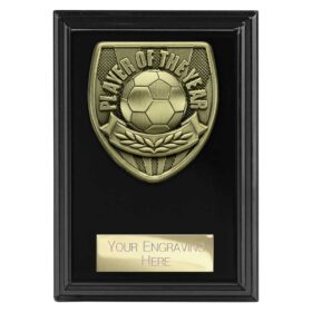 Cobra Plaque Player of Year Award Epic Black 125mm