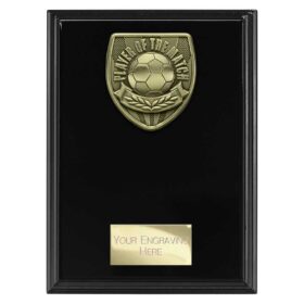 Cobra Plaque Player of Match Award Epic Black 175mm