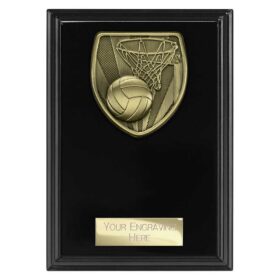 Cobra Plaque Netball Award Epic Black 150mm