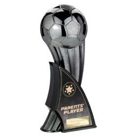 Firestorm Heavyweight Parents Player Gunmetal to Black 240mm