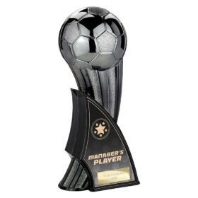 Firestorm Heavyweight Managers Player Gunmetal to Black 220mm