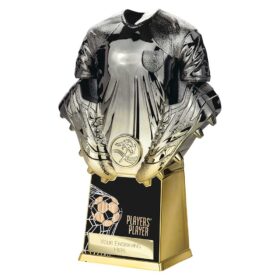 Invincible Shirt Players Player Award Gunmetal to Gold 220mm