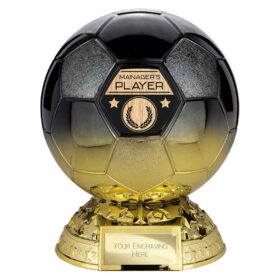 Elite Heavyweight Managers Player Award Carbon Black to Gold 205mm