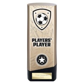 Prime Heavyweight Players Player Gold & Black 190mm