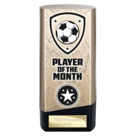 Prime Heavyweight Player of Month Gold & Black 160mm