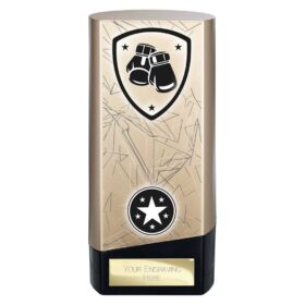 Prime Heavyweight Boxing Gold & Black 160mm