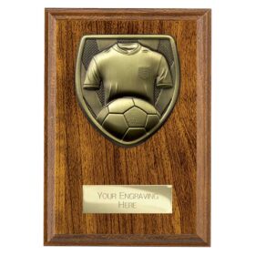 Cobra Plaque Football Shirt & Ball Award Walnut 150mm