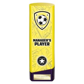 Prime Heavyweight Managers Player Yellow & Purple 220mm