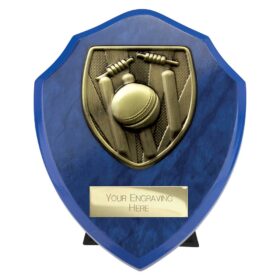 Cobra Shield Cricket Award Azure Blue 125mm