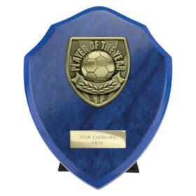 Cobra Shield Player of Year Award Azure Blue 150mm