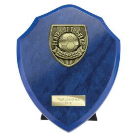 Cobra Shield Player of Year Award Azure Blue 175mm