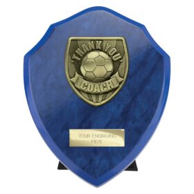 Cobra Shield Thank you Coach Award Azure Blue 150mm