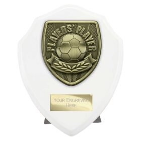 Cobra Shield Players Player Award Arctic White 125mm
