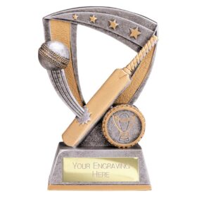 Optimum Cricket Resin Award Antique Silver & Gold 140mm