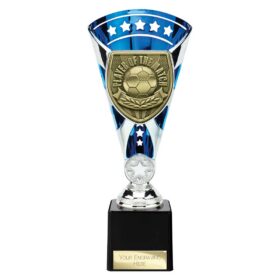 Cobra Star Cup Player of Match Silver & Blue 230mm