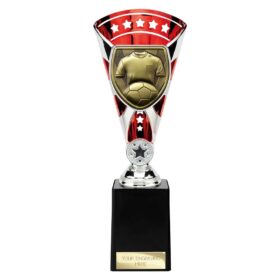 Cobra Star Cup Football Shirt & Ball Silver & Red 255mm