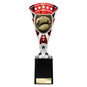 Cobra Star Cup Rugby Shirt & Ball Silver & Red 255mm