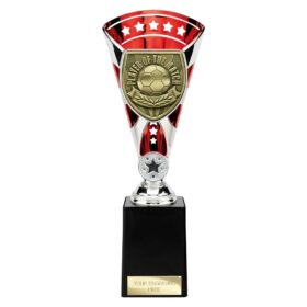 Cobra Star Cup Player of Match Silver & Red 255mm