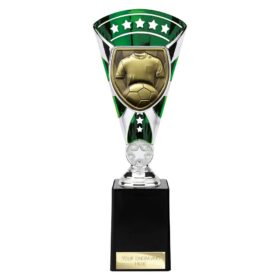Cobra Star Cup Football Shirt & Ball Silver & Green 255mm