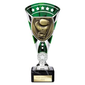 Cobra Star Cup Boxing Silver & Green 210mm
