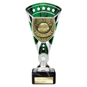 Cobra Star Cup Thank you Coach Silver & Green 210mm