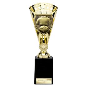 Cobra Star Cup Football Shirt & Ball Gold 255mm