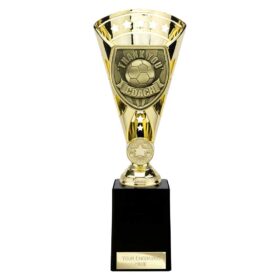 Cobra Star Cup Thank you Coach Gold 255mm