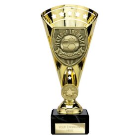 Cobra Star Cup Player of Match Gold 210mm
