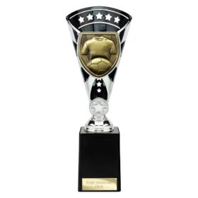 Cobra Star Cup Football Shirt & Ball Silver & Black 255mm