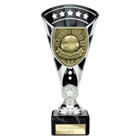 Cobra Star Cup Player of Year Silver & Black 210mm