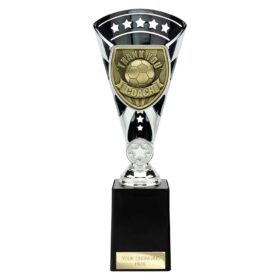Cobra Star Cup Thank you Coach Silver & Black 255mm