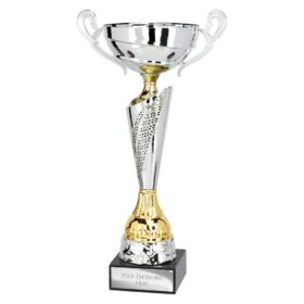 Origin Cup Silver & Gold 310mm