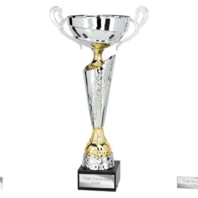Origin Cup Silver & Gold 340mm