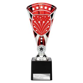 Cobra Star Multisport Cup Silver & Red 230mm