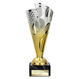 Rodeo Trophy Silver & Gold 195mm