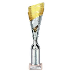 Predator Multisport Tube Trophy Silver & Gold 310mm