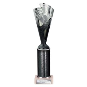 Rodeo Multisport Tube Trophy Silver & Black 290mm