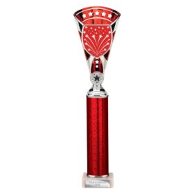 Cobra Star Multisport Tube Trophy Silver & Red 380mm
