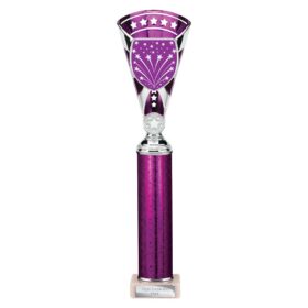 Cobra Star Multisport Tube Trophy Silver & Purple 380mm