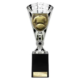 Cobra Star Cup Football Shirt & Ball Silver 255mm