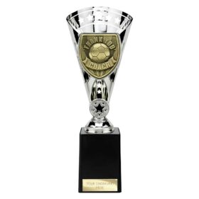 Cobra Star Cup Thank you Coach Silver 255mm