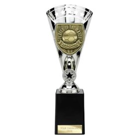 Cobra Star Cup Player of Match Silver 255mm